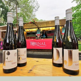 Hol találkozhatsz nyáron a Tornai Pincészettel a Somlón kívül?