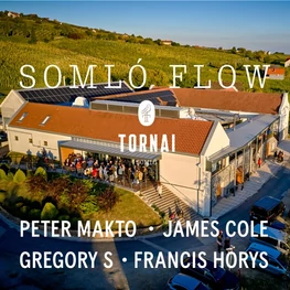Somló Flow Vol. 2