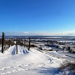 Újévi túra a Somlón – Helló 2026!